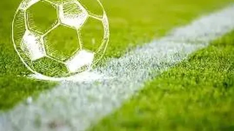 港队攀石场三载历程：创新理念引领，由排队盛景至沉浸式体验